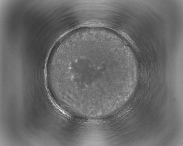 X0000067870840200605041805