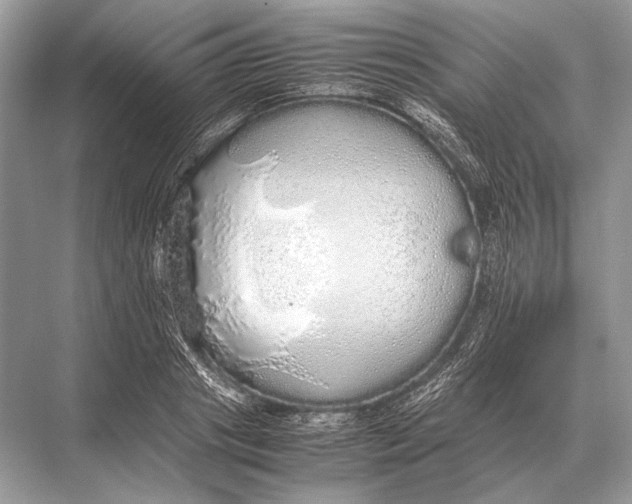 X0000067870841200605041805