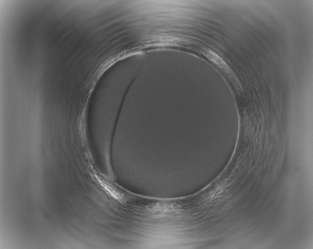 X0000067870842200605041805