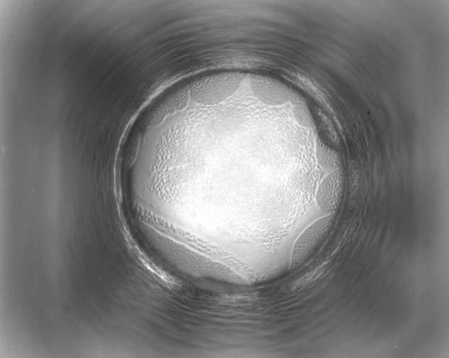 X0000067870843200605041805