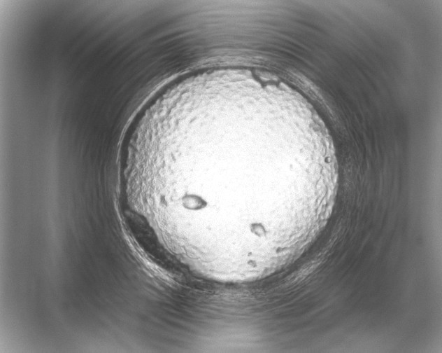 X0000067870844200605041805