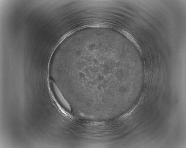 X0000067870845200605041805