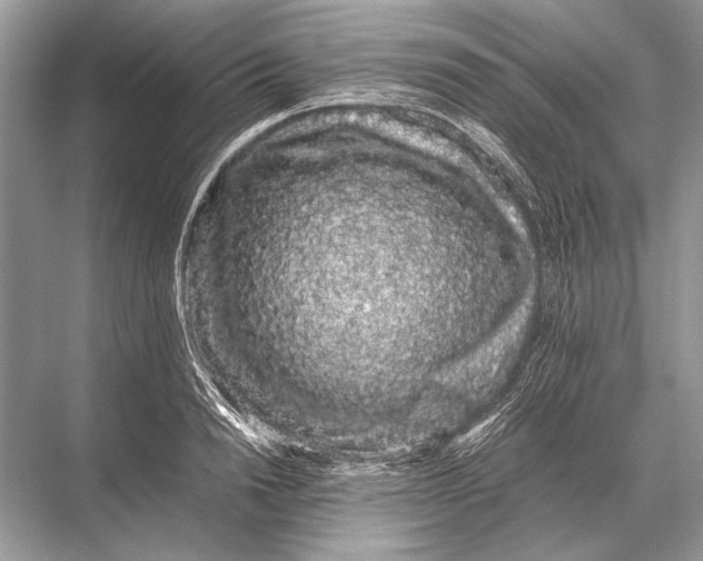 X0000067870846200605041805