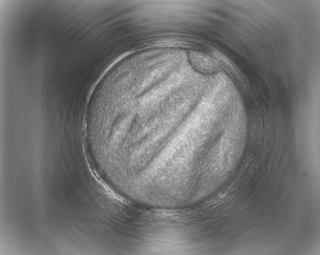 X0000067870852200605041805