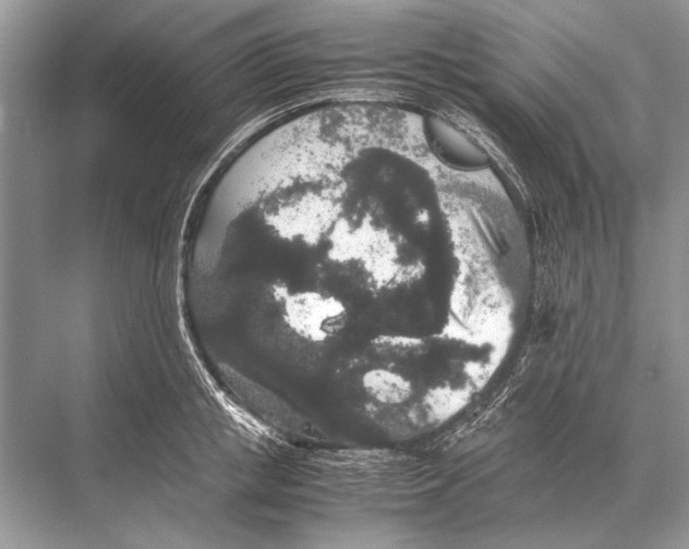 X0000067870853200605041805