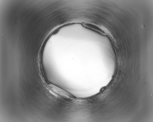 X0000067870854200605041805