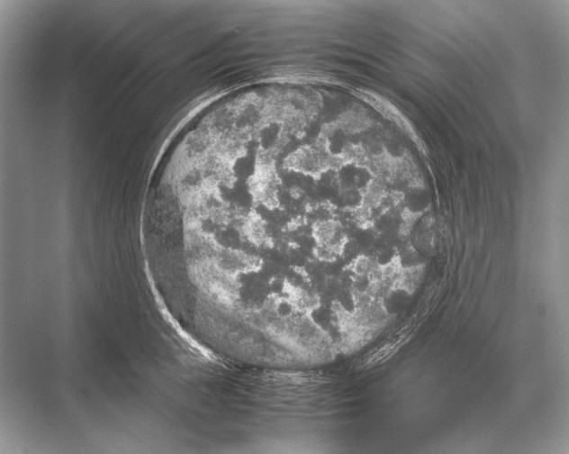 X0000067870855200605041805