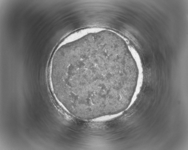 X0000067870856200605041805