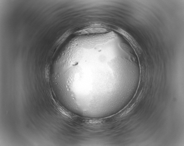 X0000067870857200605041805