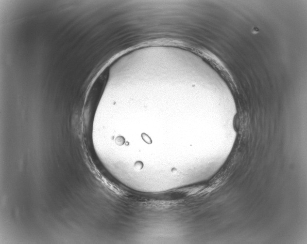 X0000067870860200605041805