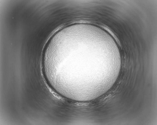 X0000067870861200605041805