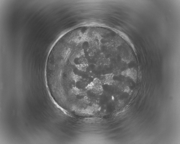 X0000067870863200605041805