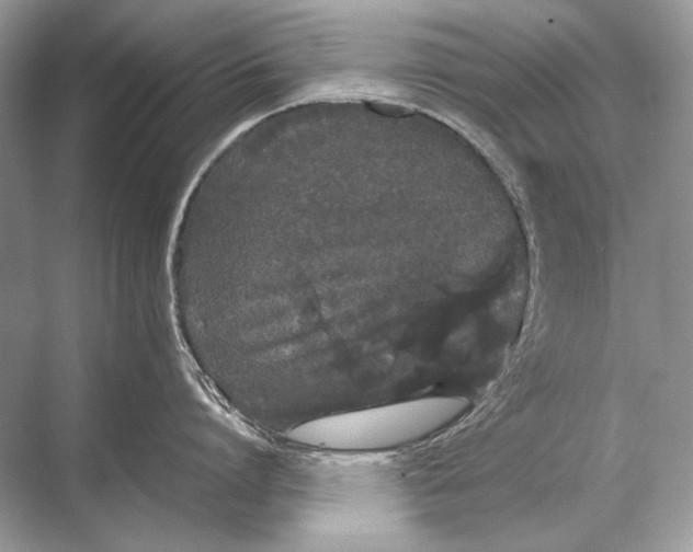 X0000067870864200605041805