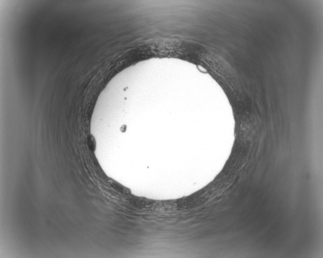 X0000067870865200605041805