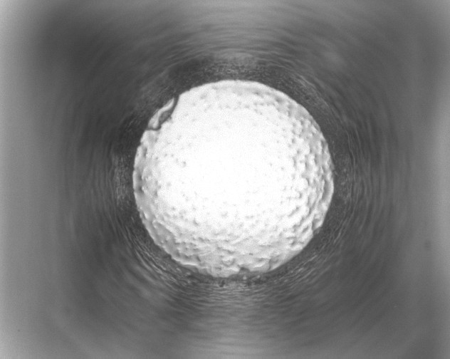 X0000067870866200605041805