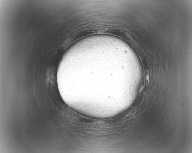 X0000067870867200605041805