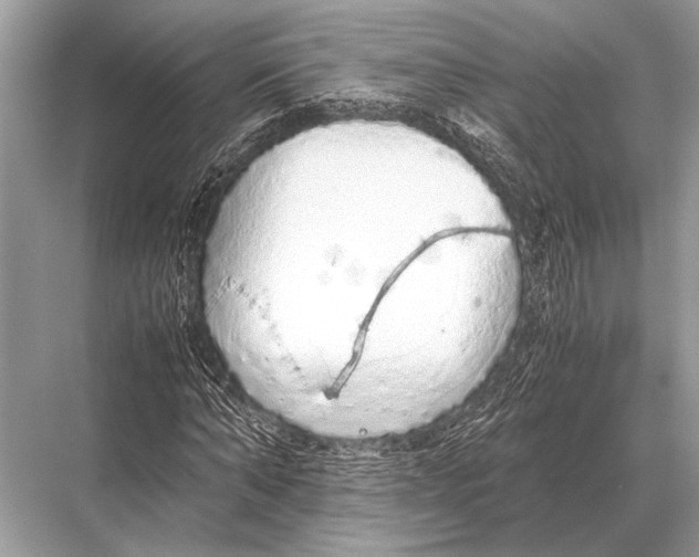 X0000067870870200605041804