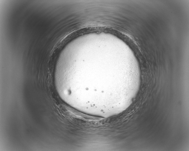 X0000067870871200605041804