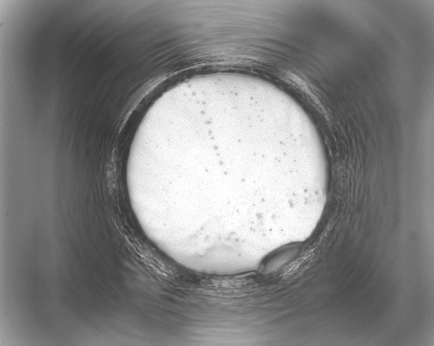 X0000067870875200605041804