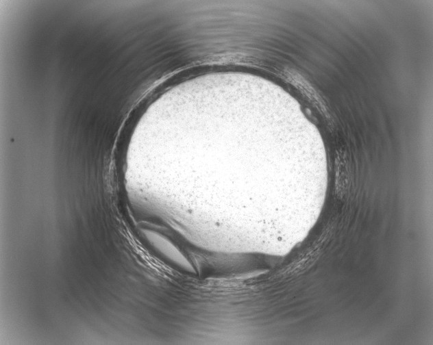 X0000067870876200605041804