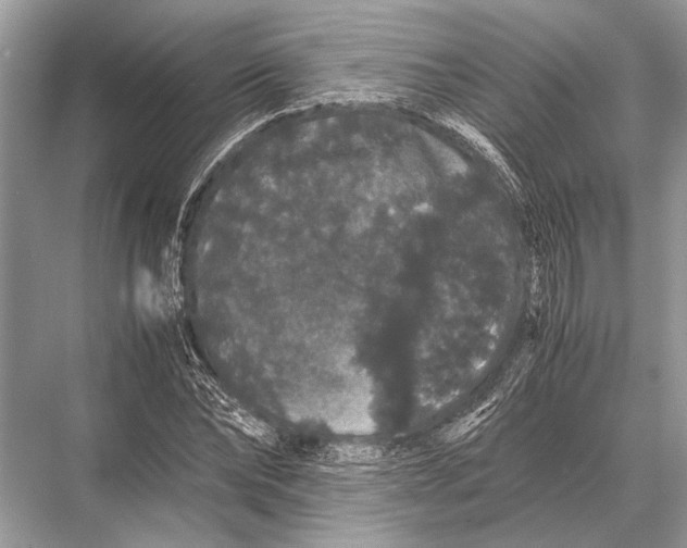 X0000067870878200605041804