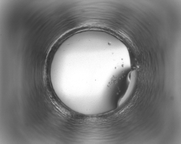 X0000067870880200605041804