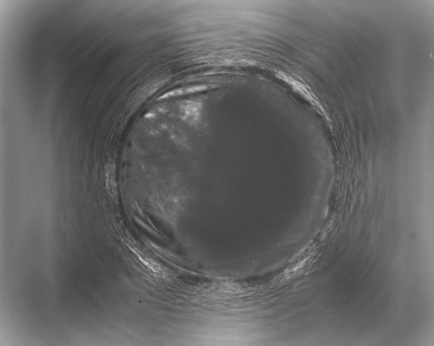 X0000067870881200605041804