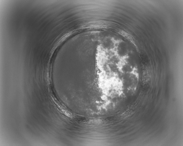 X0000067870882200605041804