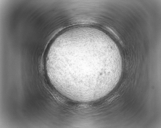 X0000067870883200605041804