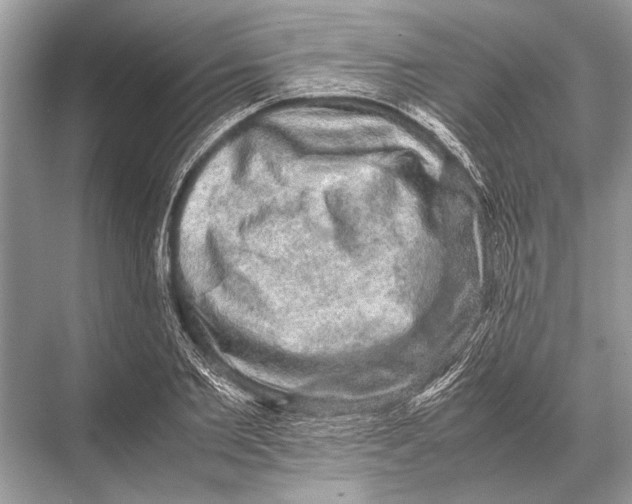 X0000067870885200605041804