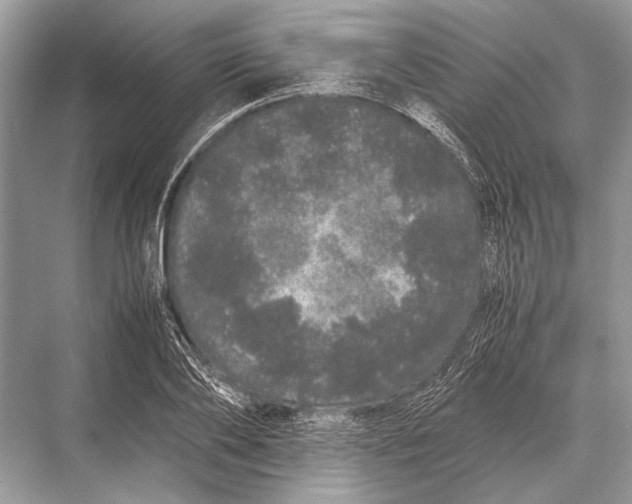 X0000067870886200605041804