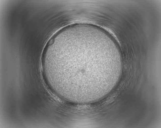 X0000067870887200605041804