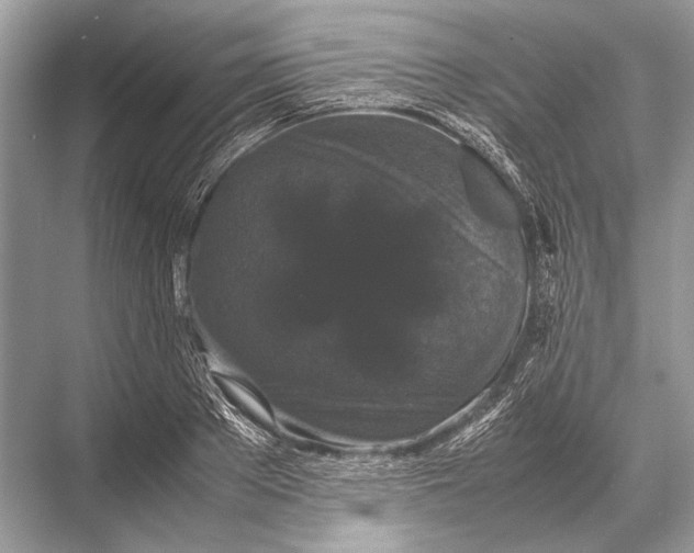 X0000067870889200605041804