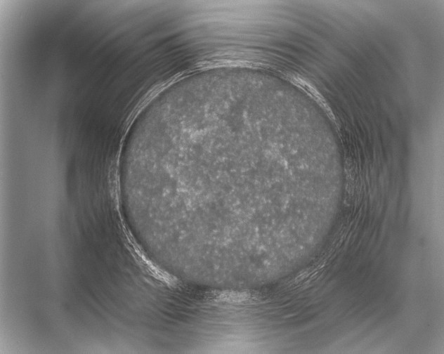 X0000067870890200605041804