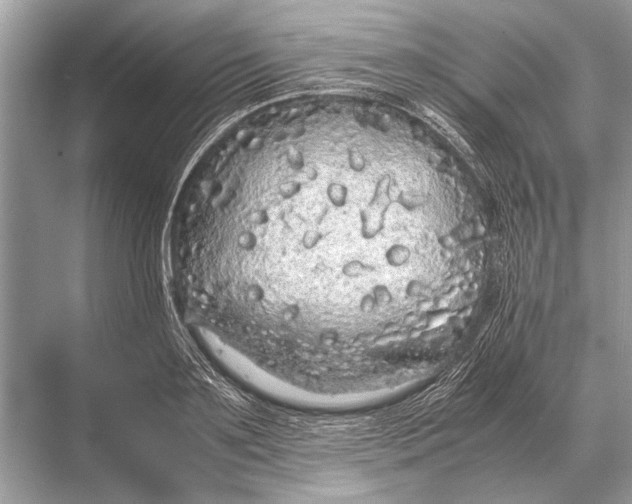 X0000067870891200605041804