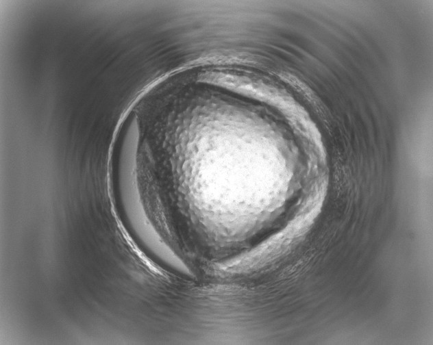 X0000067870894200605041804