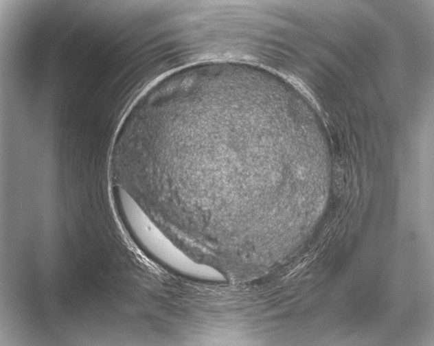 X0000067870895200605041804