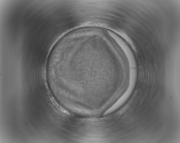 X0000067870896200605041804