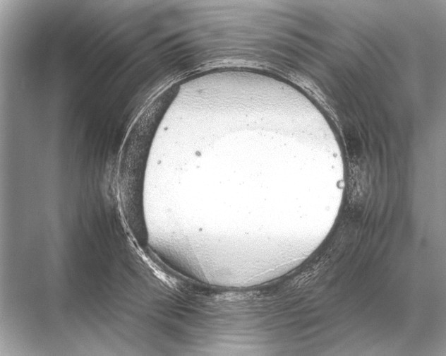 X0000067870898200605041804