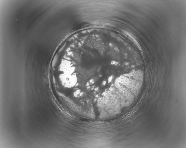 X0000067870899200605041804