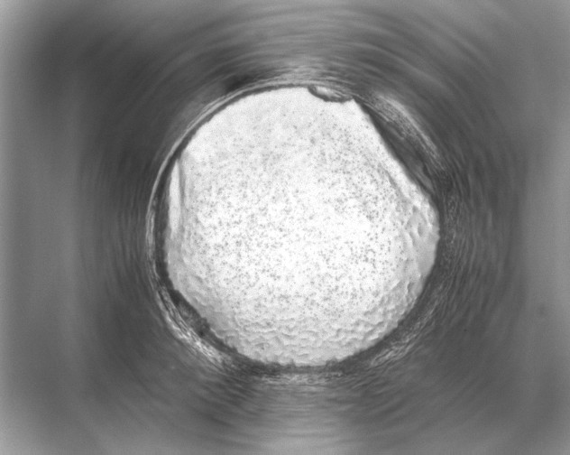 X0000067870900200605041804