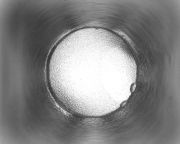 X0000067870902200605041804