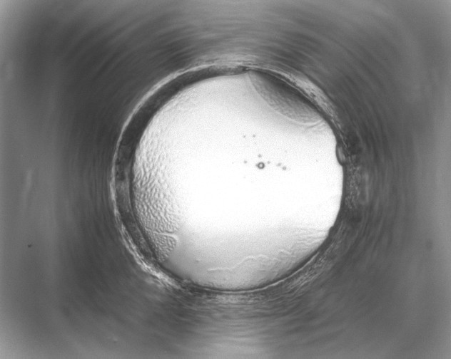 X0000067870904200605041804