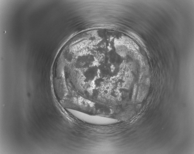 X0000067870907200605041804