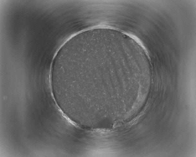 X0000067870910200605041804