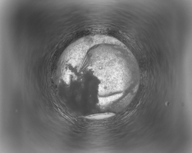 X0000067870913200605041803