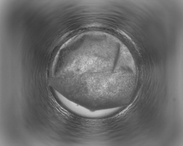 X0000067870921200605041803