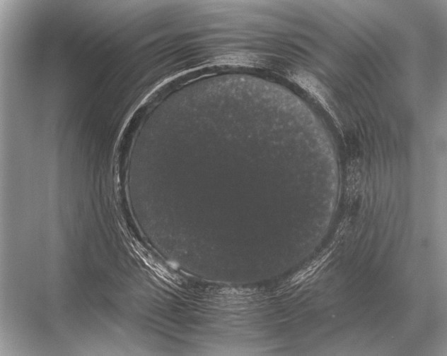 X0000067870923200605041803