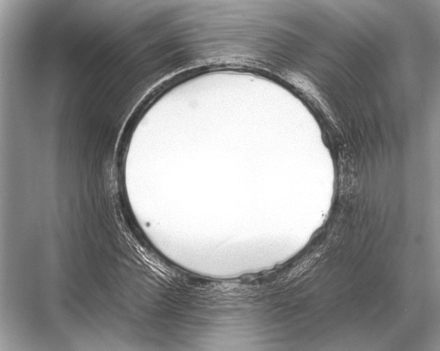 X0000067870924200605041803