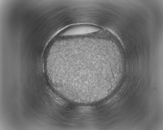 X0000067870925200605041803